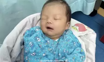 南昌赴美试管婴儿之旅,必知的风土人情攻略!近期出行热门参考
