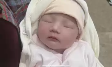 **胚胎移植失败分析,做**助孕一直不成功的原因及对策最新解读