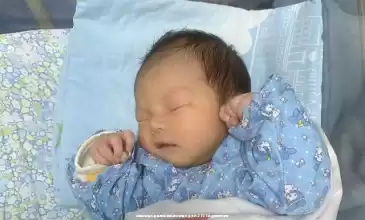 中国**婴儿数量逐年增加,做**婴儿多少钱,2026年费用构成揭秘