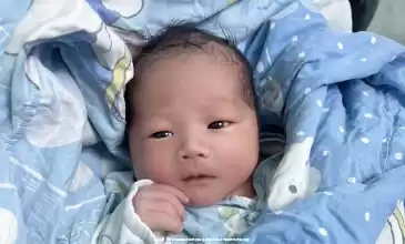 连云港40岁**胚胎移植成功率多少算合理,本地临床成功率解读 连云港40岁**胚胎移植成功率多少算合理,本地临床成功率解读
