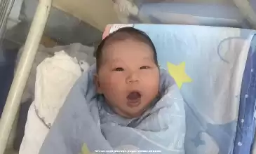 为什么选择人工授精_还是**婴儿_两种助孕方式的适用人群及差异详解