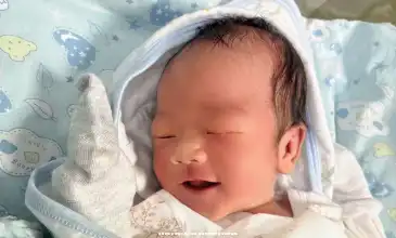 子宫畸形试管婴儿助孕指南_子宫切除后无子宫生育经验